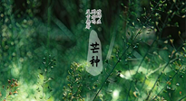 【二十四節(jié)氣灸】芒種節(jié)氣，培土補(bǔ)脾、養(yǎng)陰生津！艾灸這些穴位事半功倍！