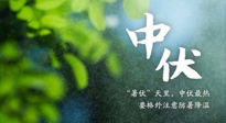 【三伏養(yǎng)生】至熱中伏，吃三樣，喝三樣，三大禁忌千萬(wàn)別犯，小心落下病根！