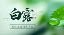 【二十四節(jié)氣灸】白露涼爽，養(yǎng)心肝脾胃、滋陰潤肺是關(guān)鍵！