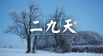 【三九養(yǎng)生】冬二九，扶陽補腎氣，讓你陽氣充足一整年！