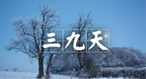 【三九養(yǎng)生】冬三九，三九第三灸，一年中最后艾灸黃金9天！