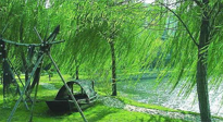 【養(yǎng)生知識】元宵入六九，春季已至，六九天的養(yǎng)生知識你知道多少？