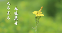 【九九養(yǎng)生】三月四日“九九日”，寒冬已過。春天養(yǎng)好身，全年不怕病！