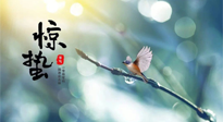 【二十四節(jié)氣灸】驚蟄節(jié)氣，艾灸喚醒抵抗力、補(bǔ)充陽氣的最好時機(jī)！