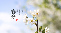 【二十四節(jié)氣灸】春分，平分了大地晝夜；艾灸，平衡了身體陰陽！