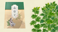 【行業(yè)資訊】國(guó)內(nèi)首部艾草專著《南陽(yáng)艾》，在南陽(yáng)新書(shū)首發(fā)！