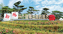 【行業(yè)資訊】南陽(yáng)一個(gè)值得三顧的地方！“丹江水”“仙草艾”成為 “南陽(yáng)禮物”新爆款！