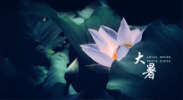 【二十四節(jié)氣灸】趁大暑好好艾灸，才不辜負(fù)三伏天的驕陽(yáng)！