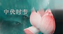 【艾灸三伏天】中伏：三伏灸的關(guān)鍵轉(zhuǎn)折點(diǎn)！“灸”除病根的大好時(shí)機(jī)！