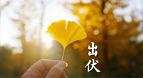 【艾灸三伏天】出伏啦！三防三宜兩穴位，防止身體“秋后算賬”！