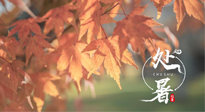 【二十四節(jié)氣灸】處暑，冬病夏治倒計時！秋涼真的要來了！