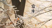 【二十四節(jié)氣灸】霜降節(jié)氣：艾灸四穴，護(hù)您冬天安然無(wú)恙！