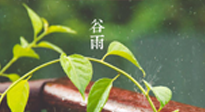 【二十四節(jié)氣灸】谷雨節(jié)氣脾土濕，艾灸降濕濁，脾旺不受邪！