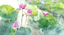 【養(yǎng)生知識】花開半夏，夏至養(yǎng)生，這些知識一定要牢記！