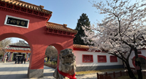 【行業(yè)資訊】新華財(cái)經(jīng)：守正創(chuàng)新，中醫(yī)藥品牌化發(fā)展“更上一層樓”！
