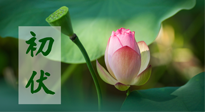 【三伏天】初伏將至，“蒸煮”模式開啟！想要健康，這四類食物別錯(cuò)過?。? />
                    </a>
                </div>
            </li>
            
            <li id=