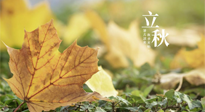 【節(jié)氣養(yǎng)生】甲辰立秋，“2做”、“2不做”，護(hù)好我們身體的正氣，預(yù)防外邪的侵襲！