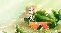 【艾灸三伏天】出伏后記得堅(jiān)持艾灸，伏后固本，做好至關(guān)重要的最后一步！