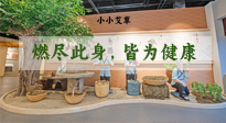 【艾草知識】小小艾草，渾身是寶，一生燃盡此身，皆為健康！